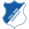 TSG Hoffenheim Wappen